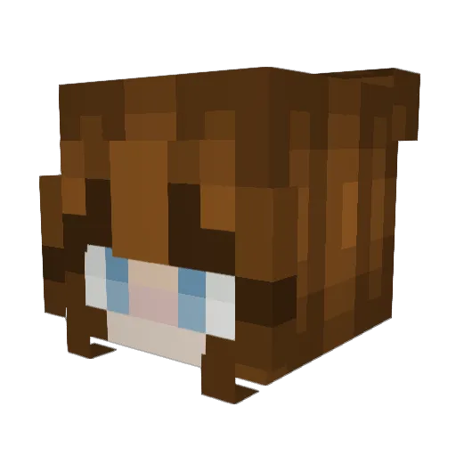 Equinocturne Minecraft avatar head, 3D render