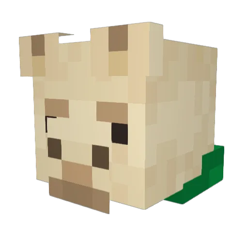 Equinox3141 Minecraft avatar head, 3D render