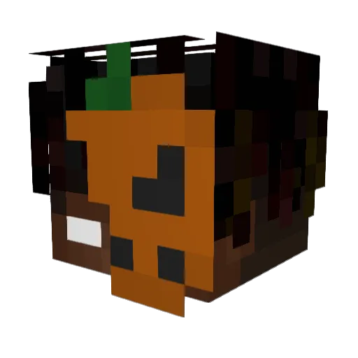 Equiped_ Minecraft avatar head, 3D render