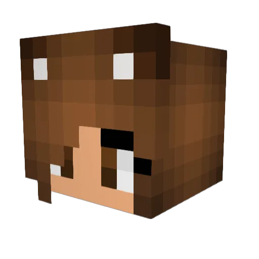 EquusTenebris Minecraft avatar head, 3D render