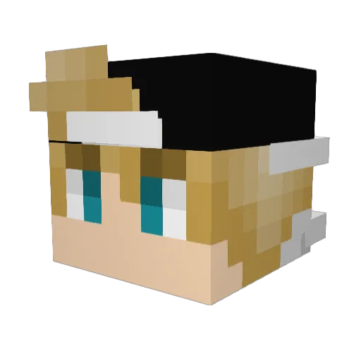 Er1c329 Minecraft avatar head, 3D render