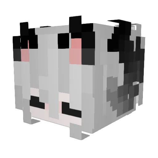 ErCr_XiaoC Minecraft avatar head, 3D render