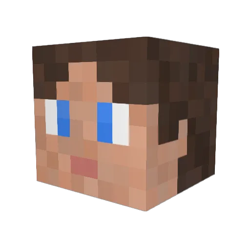 ErHatteRecht Minecraft avatar head, 3D render