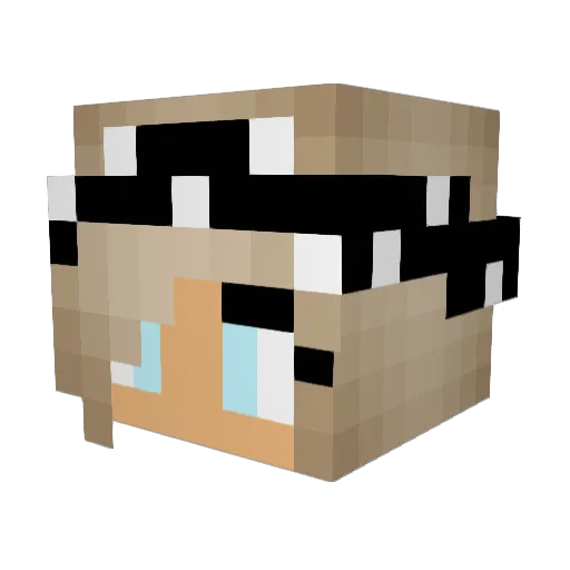 ErIn26k Minecraft avatar head, 3D render