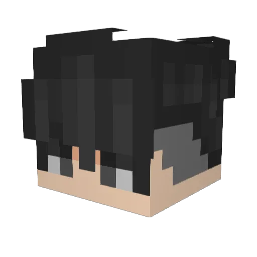 ErJuanan8 Minecraft avatar head, 3D render