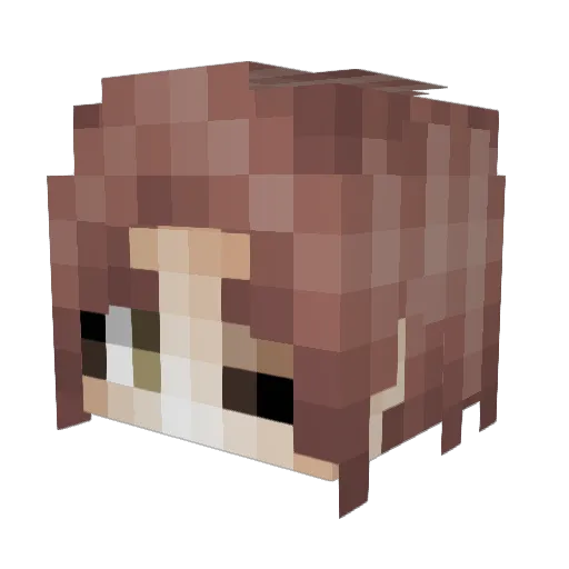 ErPepito23 Minecraft avatar head, 3D render
