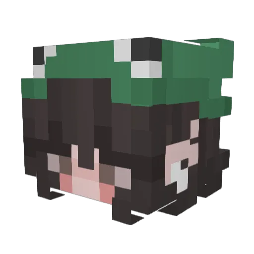ErRor4041795 Minecraft avatar head, 3D render