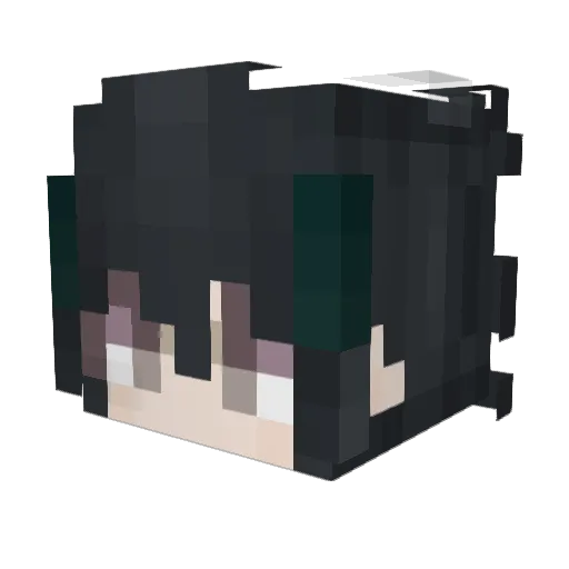 ErSheng0424 Minecraft avatar head, 3D render