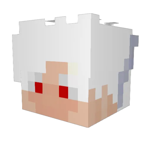 ErTonno2005 Minecraft avatar head, 3D render