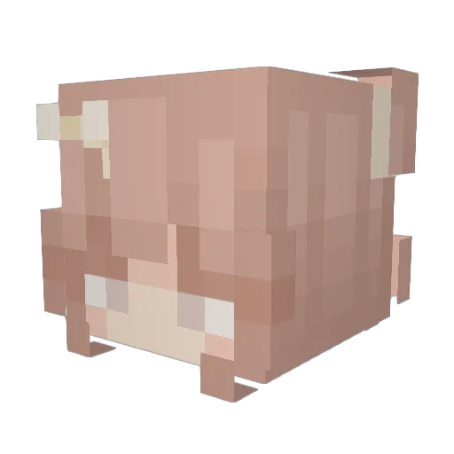 Er_Bear01 Minecraft avatar head, 3D render