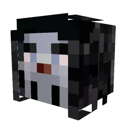 Er_WK_Gaming_75 Minecraft avatar head, 3D render