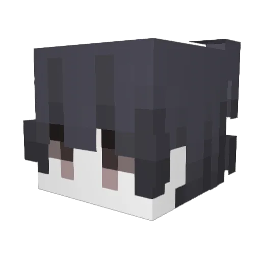 Er_XiHua Minecraft avatar head, 3D render