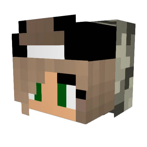 Er_torb Minecraft avatar head, 3D render