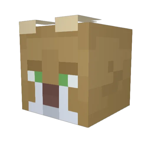 Eraamion Minecraft avatar head, 3D render