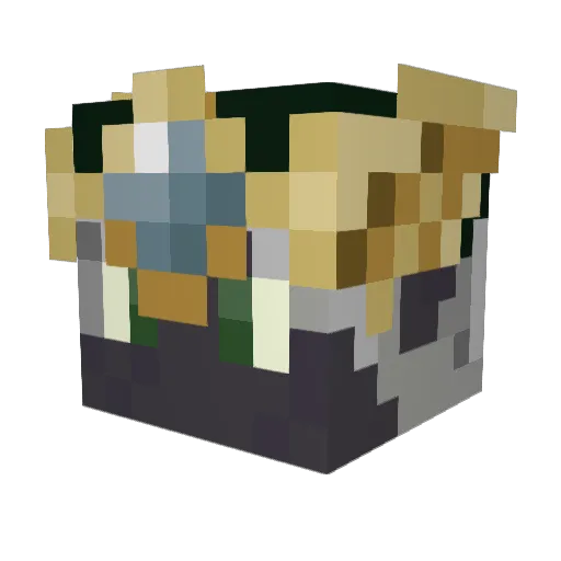 Eradis Minecraft avatar head, 3D render