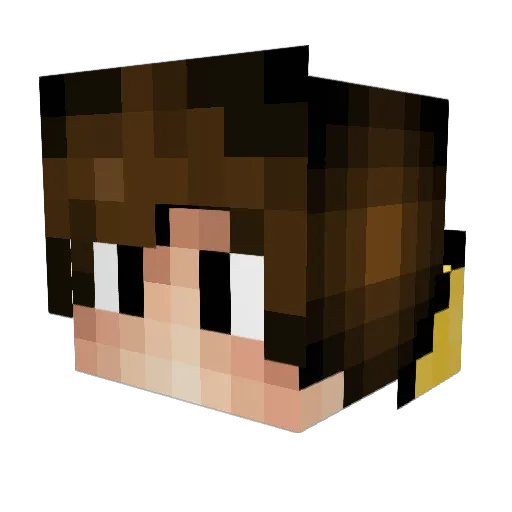 Eragon2434 Minecraft avatar head, 3D render