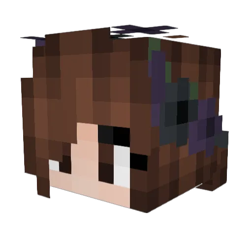 Eranee Minecraft avatar head, 3D render