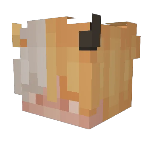 Eraows Minecraft avatar head, 3D render