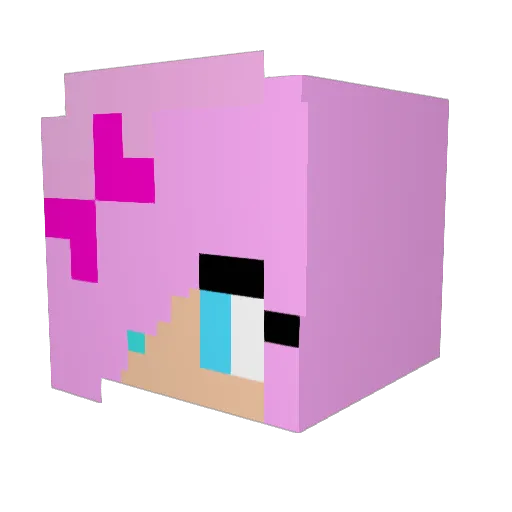 Erari Minecraft avatar head, 3D render