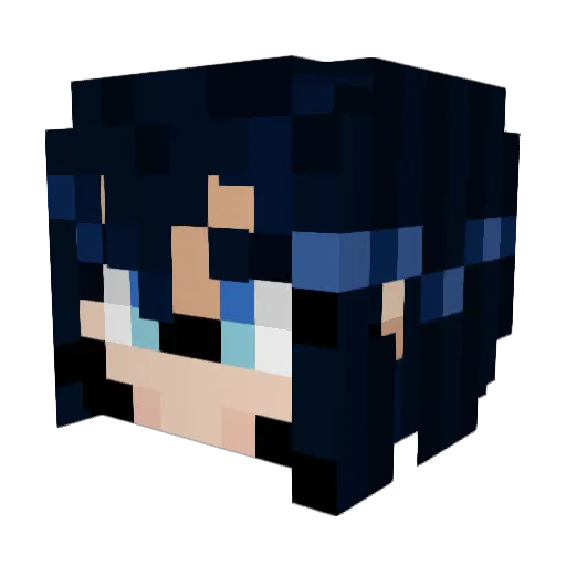 ErasableDisc447 Minecraft avatar head, 3D render