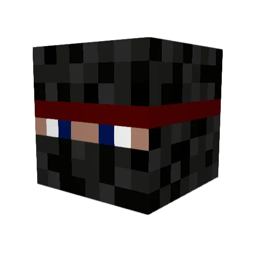 ErasableNinja Minecraft avatar head, 3D render