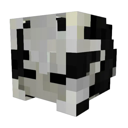 Eraser2003 Minecraft avatar head, 3D render