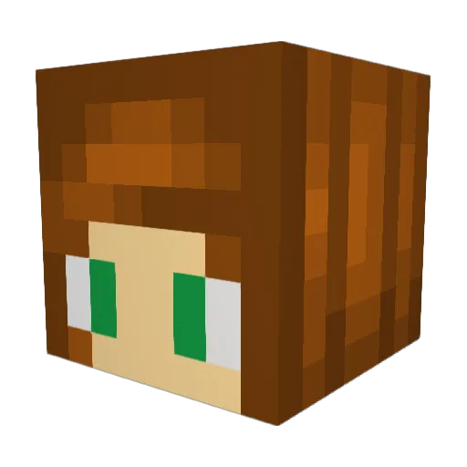 Erbags Minecraft avatar head, 3D render
