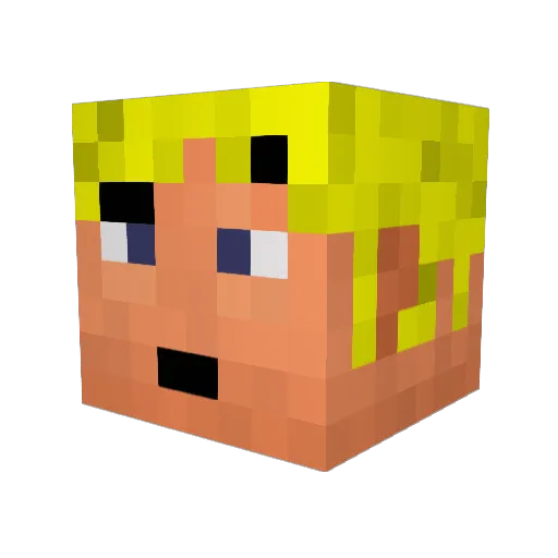 Erbseneintopf Minecraft avatar head, 3D render