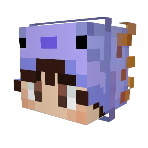 Erdemoon Minecraft avatar head, 3D render