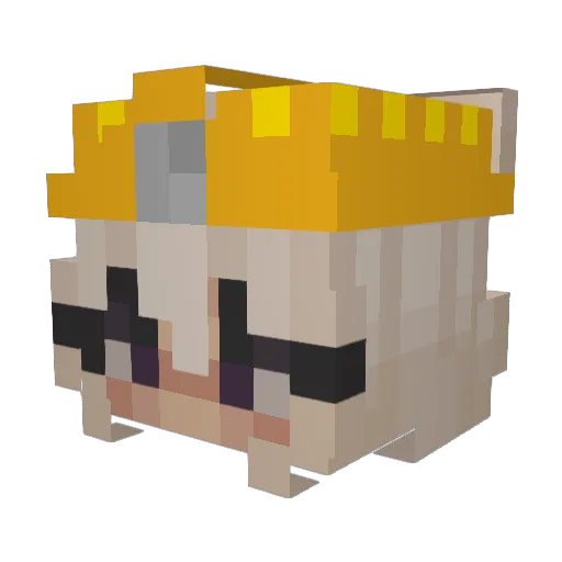 Erdhad Minecraft avatar head, 3D render