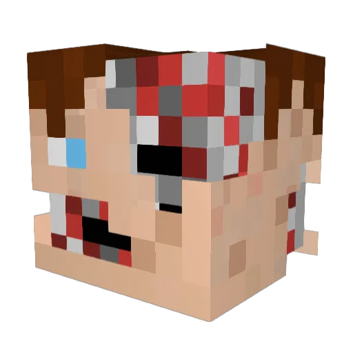 Erdna_log Minecraft avatar head, 3D render