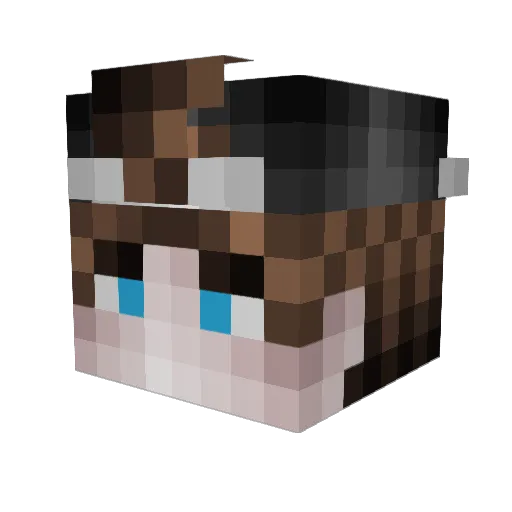 Ere3_ Minecraft avatar head, 3D render