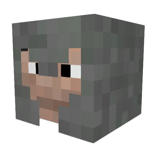 Erebor_Phoenix Minecraft avatar head, 3D render