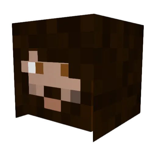 Erebus1452 Minecraft avatar head, 3D render