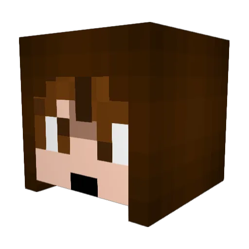 Erebus456 Minecraft avatar head, 3D render