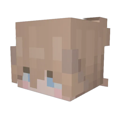 ErenJaegerrrrr Minecraft avatar head, 3D render
