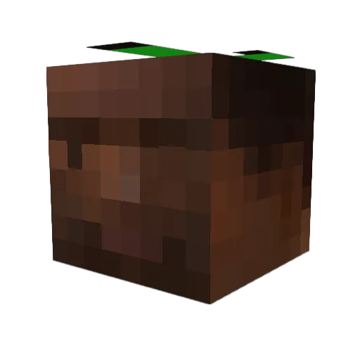 Erencc Minecraft avatar head, 3D render