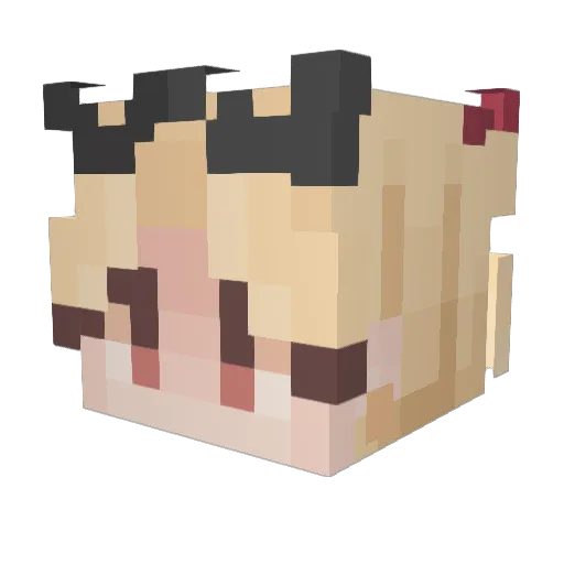 Eresh0 Minecraft avatar head, 3D render