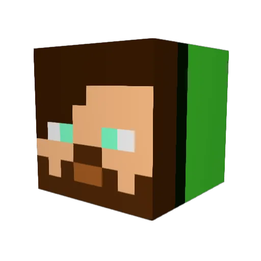 Erett99 Minecraft avatar head, 3D render