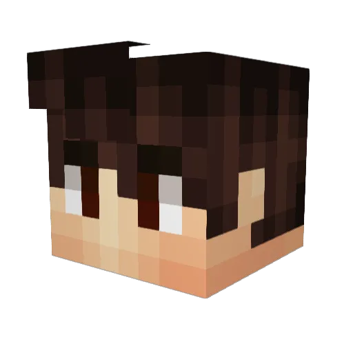 ErfanGamer Minecraft avatar head, 3D render