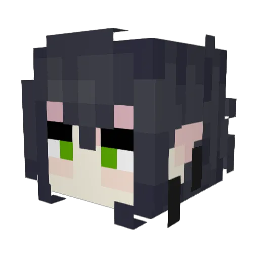 Erfio Minecraft avatar head, 3D render