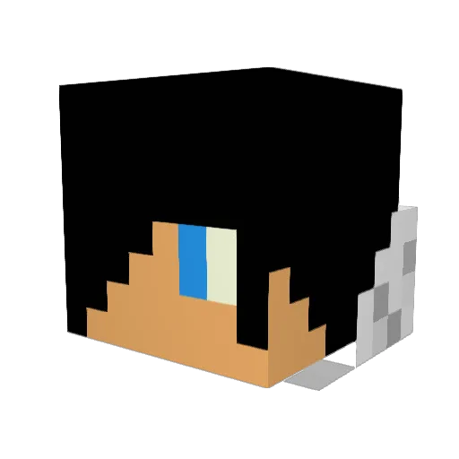 Ergonz Minecraft avatar head, 3D render