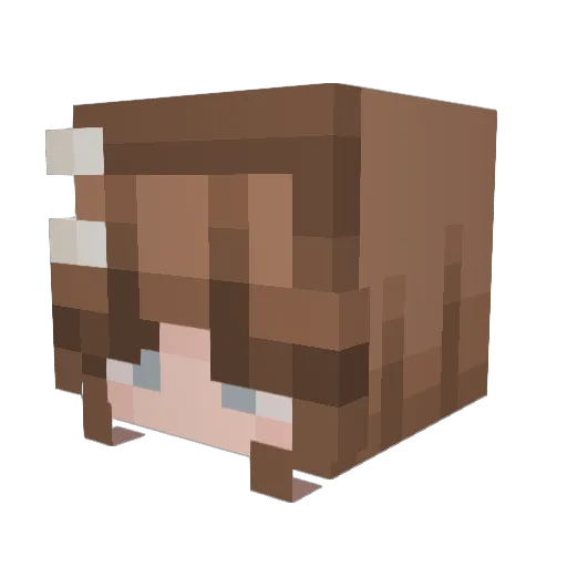 Eribini Minecraft avatar head, 3D render