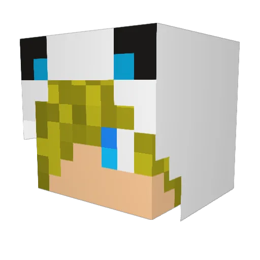 Eric1222 Minecraft avatar head, 3D render