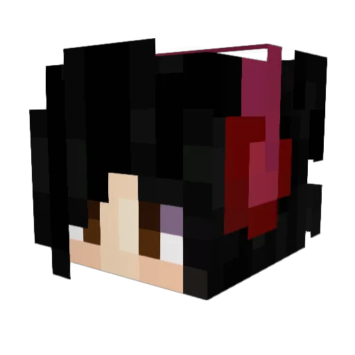 Eric123456 Minecraft avatar head, 3D render