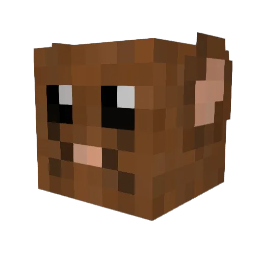 Eric191919 Minecraft avatar head, 3D render