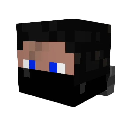 Eric221 Minecraft avatar head, 3D render