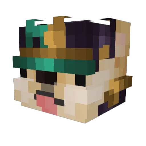 Eric9904 Minecraft avatar head, 3D render