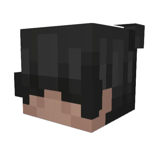 EricDyer Minecraft avatar head, 3D render