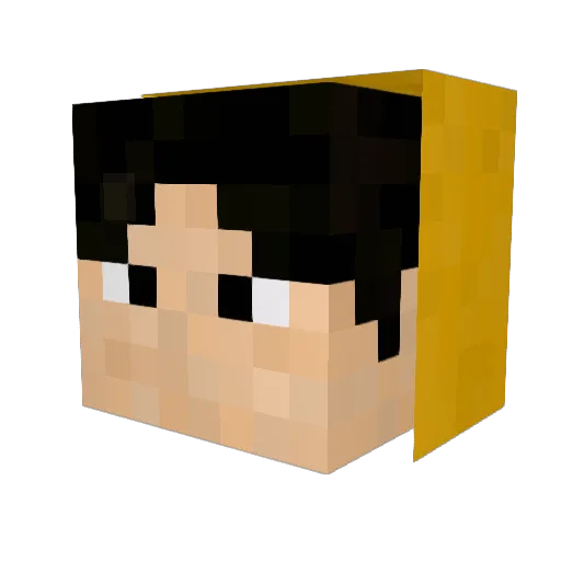 EricLi0106 Minecraft avatar head, 3D render